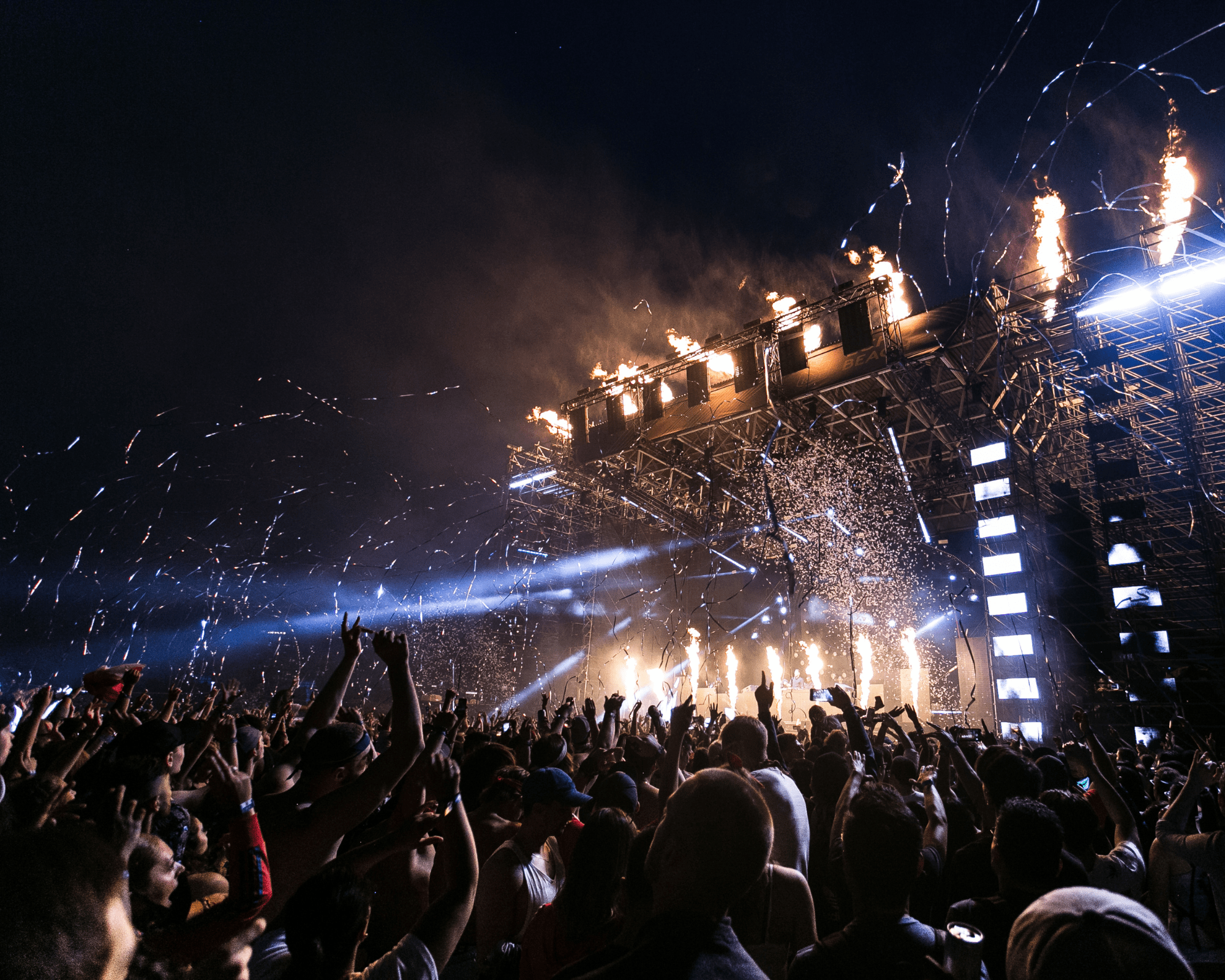 Immagine di persone di spalle a un concerto